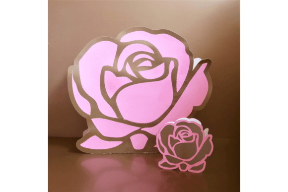 La Vie En Rose Flower and Box